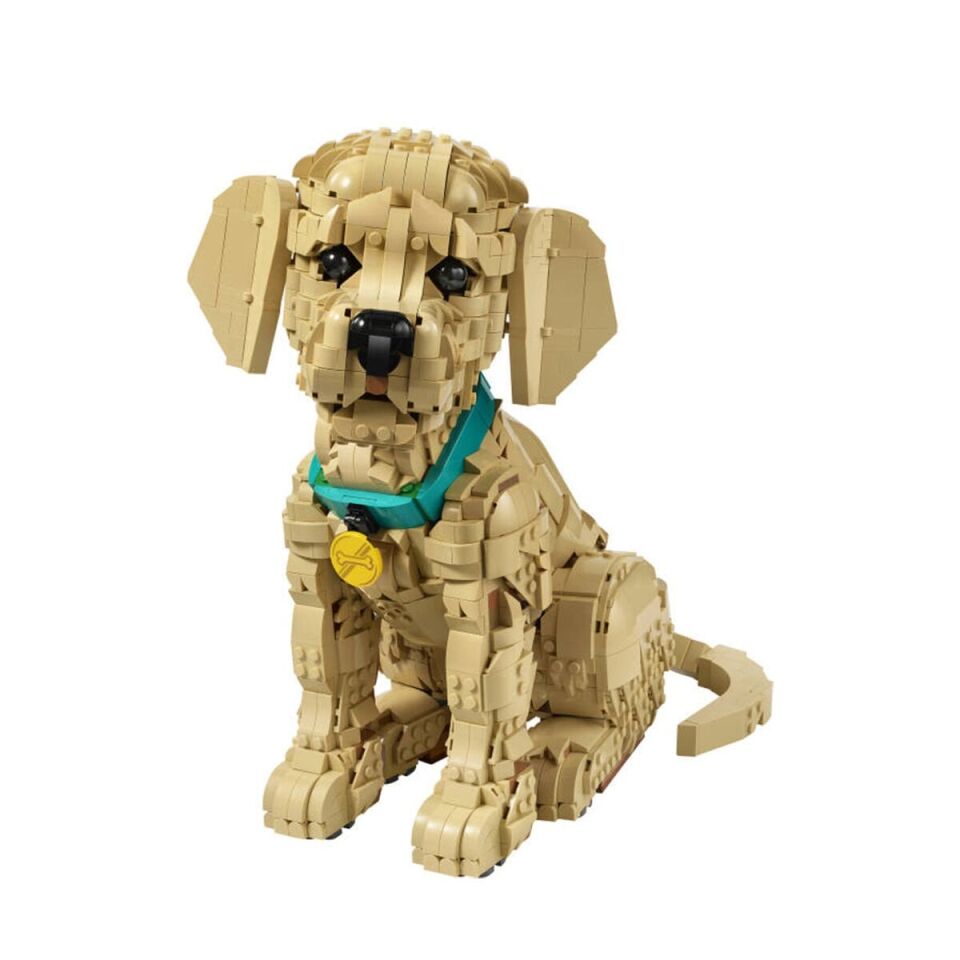 11384 Lego icons Yavru Golden Retriever 2102 parça +18 yaş