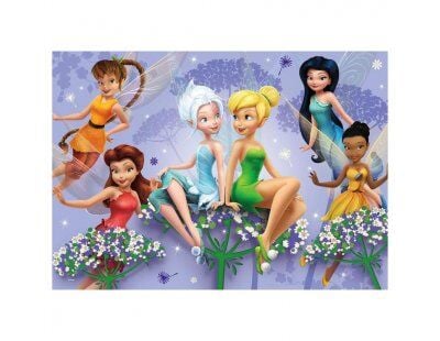 100 Parça Fairies Puzzle