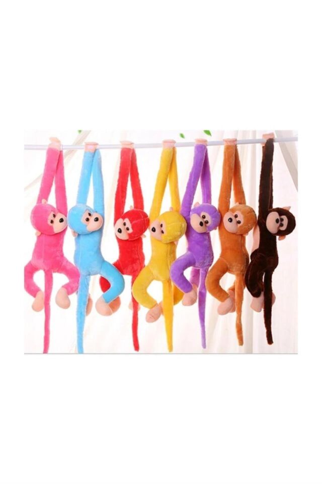 PL62229A 60 CM SESLİ MAYMUN-HLY