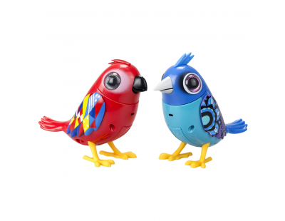 Digibirds İkili Paket Seri 2