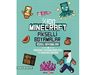 %100 Minecraft Pikselli Boyamalar Özel Biyomlar