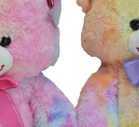 55 CM RENKLİ AYI HALLEY