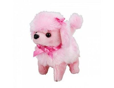 Sunman Sevimli Köpek Poodle