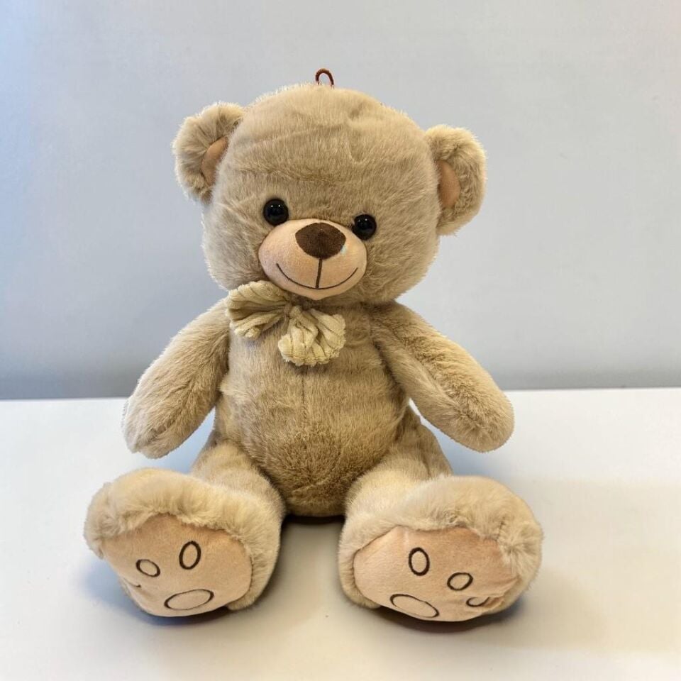 PL50174  40 CM PAPYONLU AYI- HLY