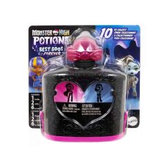 Monster High İksirleri Havalı Arkadaşlar Serisi Sürpriz Paket JCY18