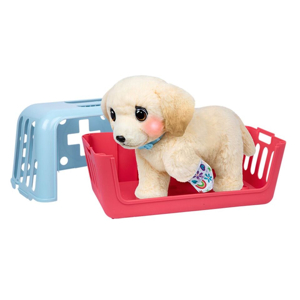 L0100000 LLP Yavru Köpek İyileşiyor - 26679