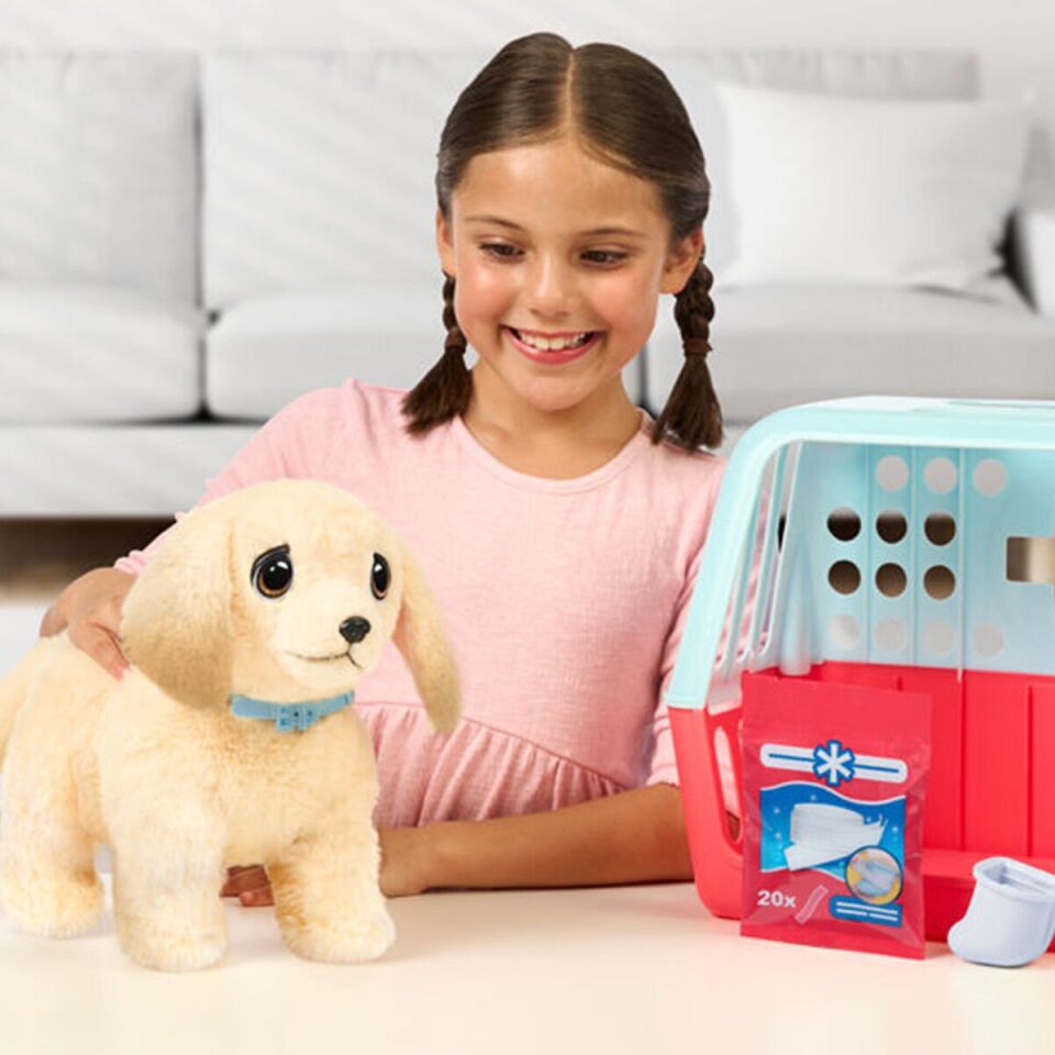 L0100000 LLP Yavru Köpek İyileşiyor - 26679