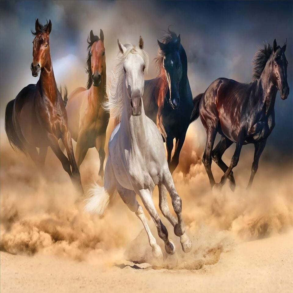 20769 PUZZLE 1000 WİLD HORSES