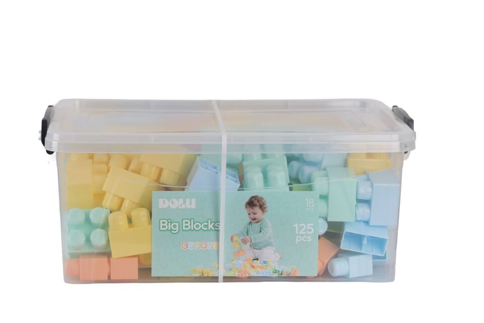 5214 OYUNCAK SANDIKTA BÜYÜK RENKLİ BLOKLAR 125 PARÇA