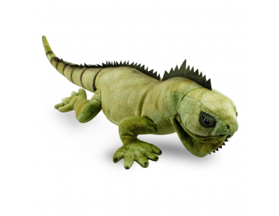 İguana 66 cm
