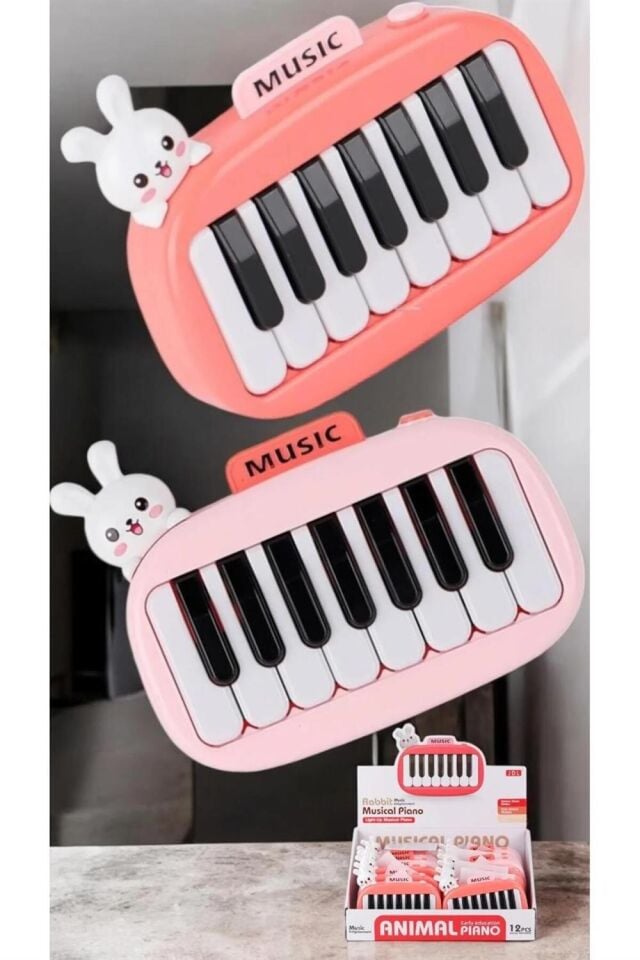 8896-1B KUTUDA 12Lİ PİLLİ PİANO -CN