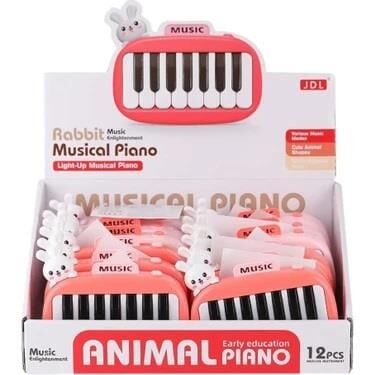 8896-1B KUTUDA 12Lİ PİLLİ PİANO -CN