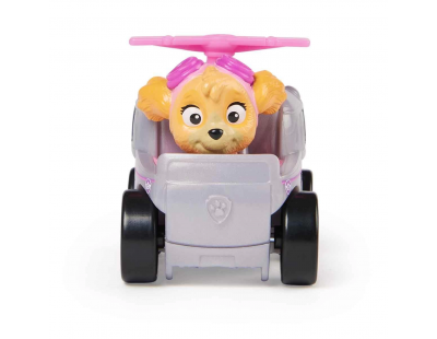 Paw Patrol Pup Squad Yarışçıları Skye