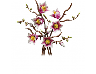 LEGO Botanicals Manolya Dalları 11510