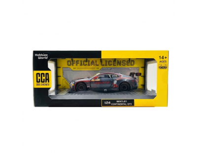 1/24 Bentley Continental GT3 Silver Grey Model Araba