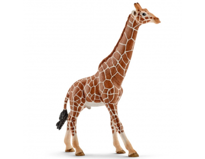 Schleich Dişi Zürafa